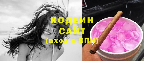 сатива Верея