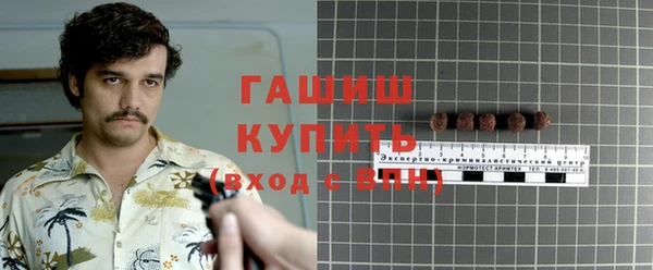 сатива Верея