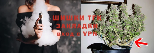 сатива Верея