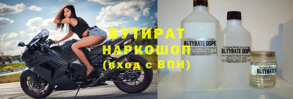 сатива Верея