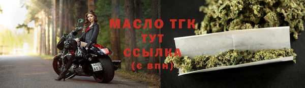 сатива Верея