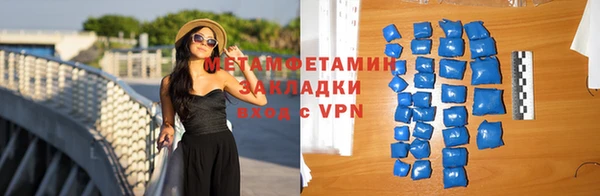 сатива Верея
