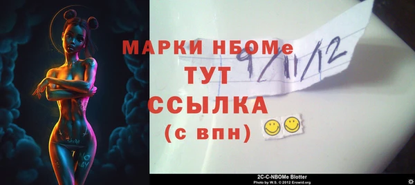 сатива Верея