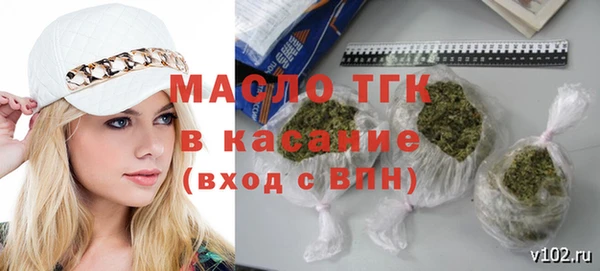 сатива Верея